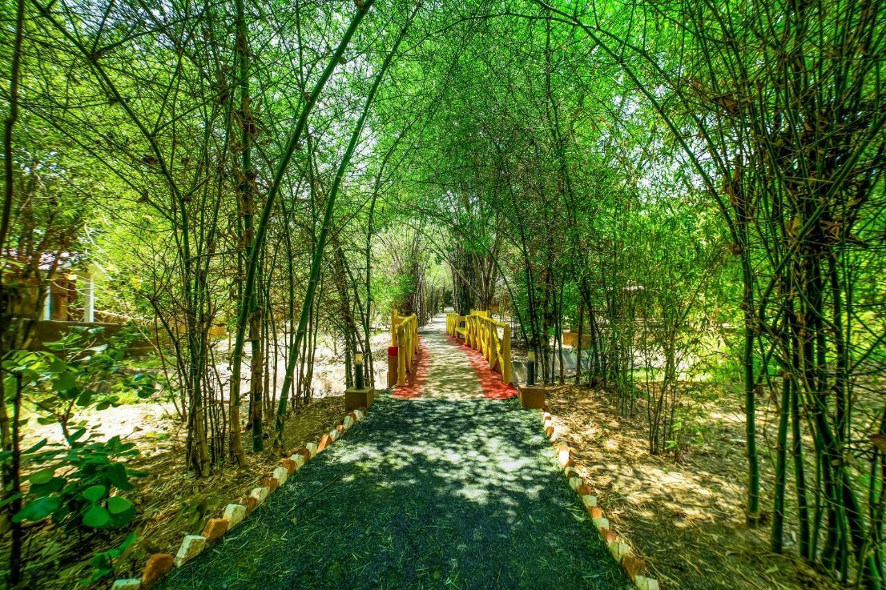 Lemon Tree Wildlife Resort, Bandhavgarh Tāla Εξωτερικό φωτογραφία